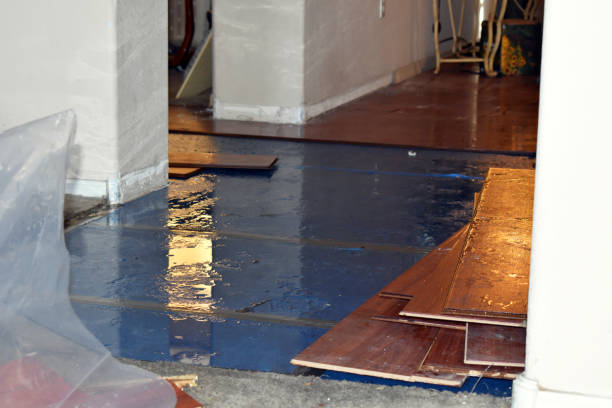 Professional Flood Cleanup technician working in Stonington, CT